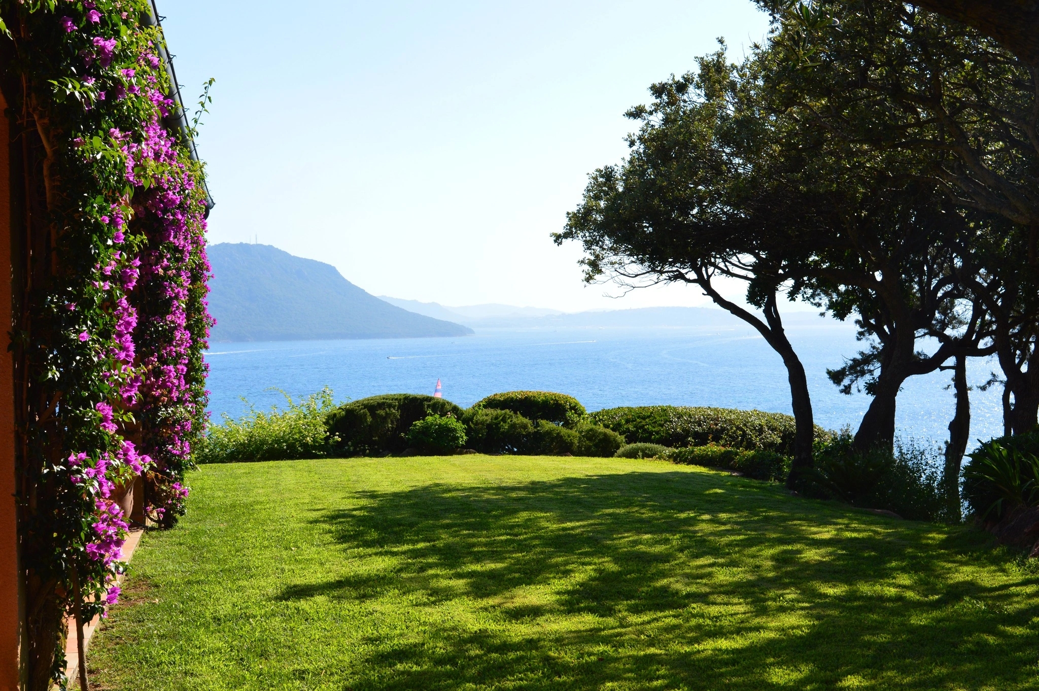 Lifting de jardins à Porto-Vecchio avec Garden service
