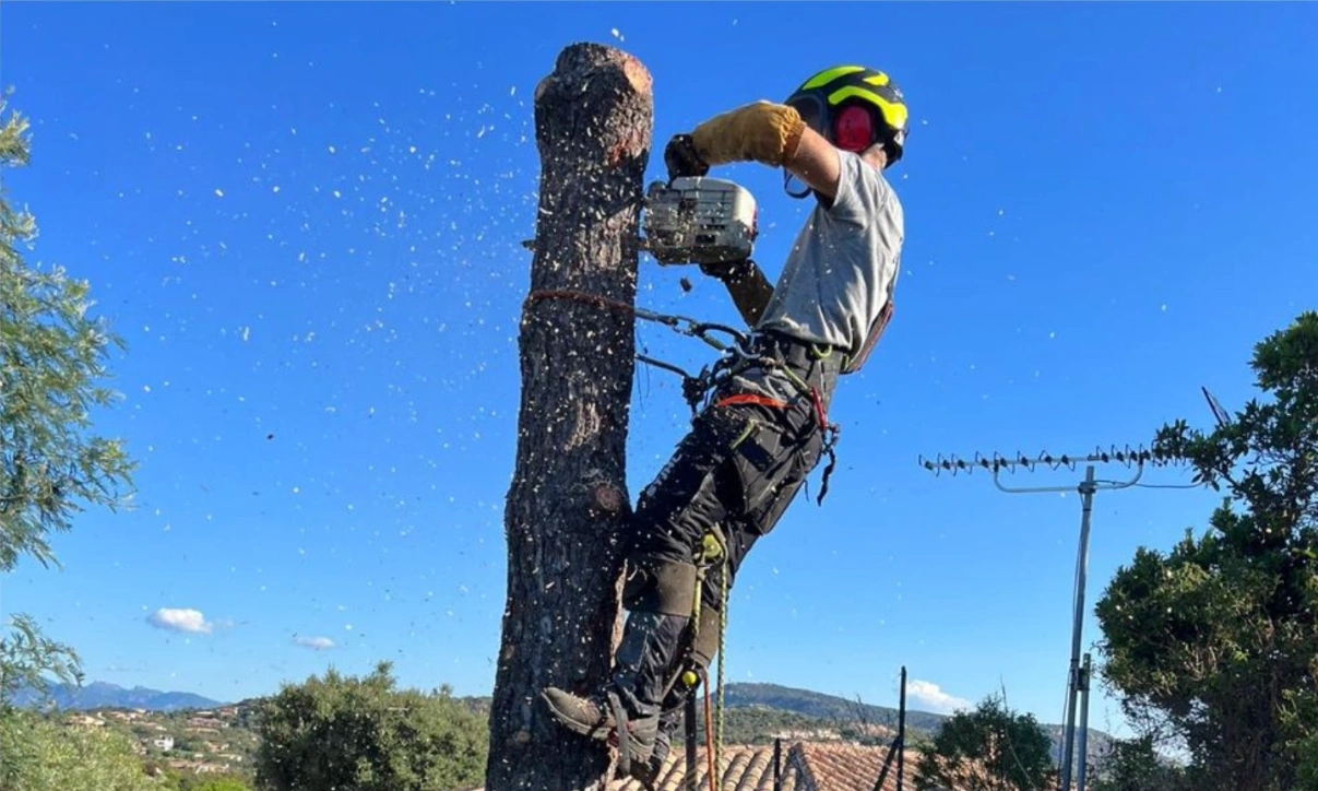 Service d’élagage à Porto-Vecchio et Bonifacio avec Garden Service