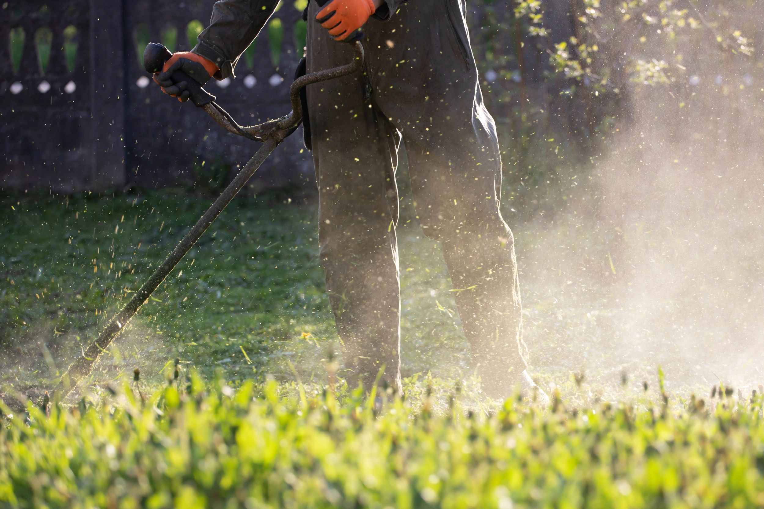 Service de démaquisage en Corse-du-Sud